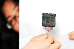 102474838-184804F_2013資料照片_copy1