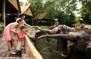 20130305.190154_zoo430