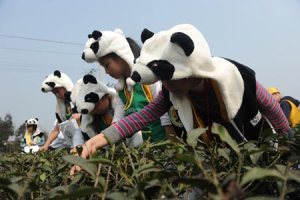 C309N0160H_2013資料照片_N71_copy1