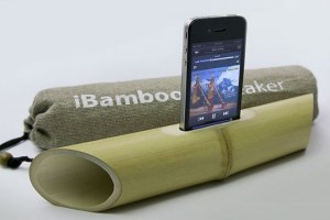 iBamboo-speaker-lead-537x358