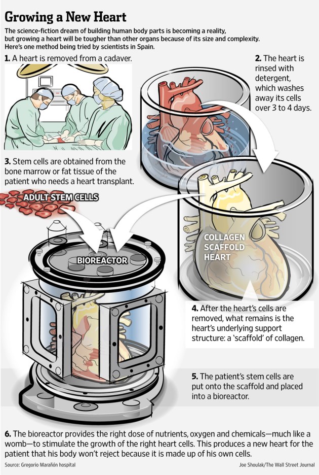 P1-BK792_BODYPA_G_20130322221602