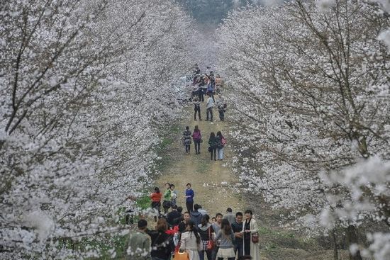 U158P5029T2D569580F31DT20130309101521