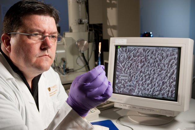 david carroll - wake forest university