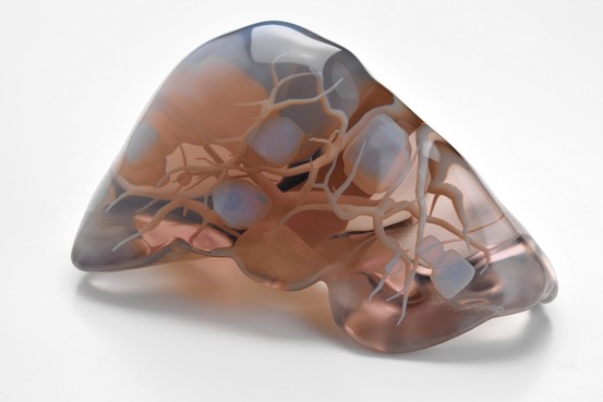 MK-CC251_3dPrin_G_20130408173036