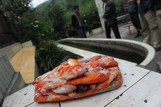 U47P5029T2D585682F31DT20130426090821