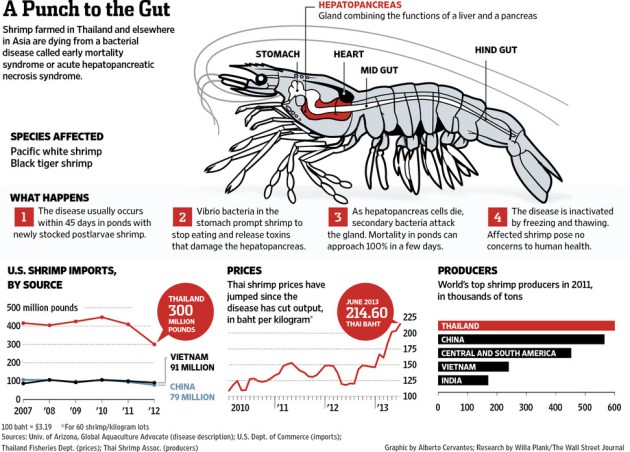 MK-CE660_THAISH_G_20130711134506
