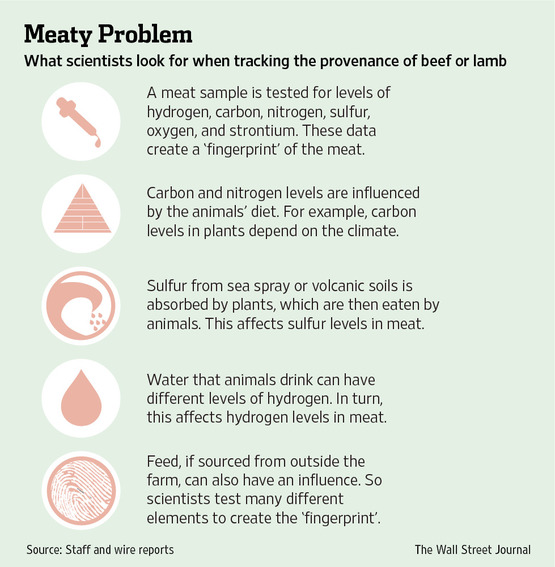 AI-CC640_NZMEAT_G_20130801040306