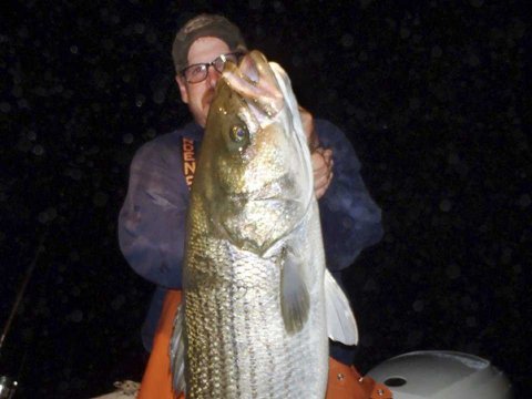 connecticut-bass-fisher