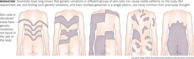 0917-sci-GENOME-popup