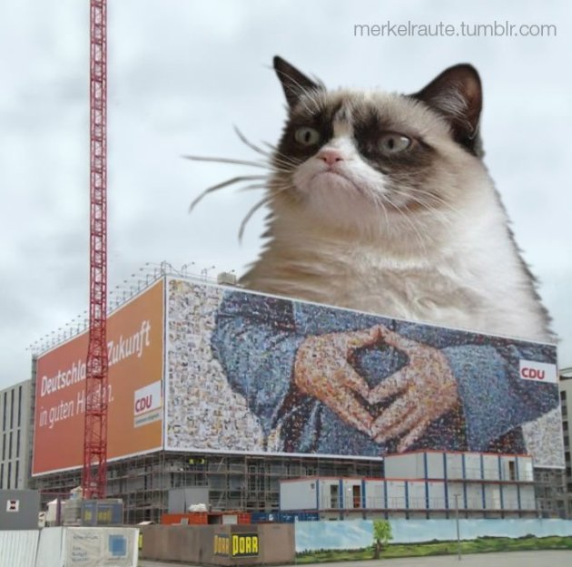 tumblr_msnghixlfv1shd00xo1_1280