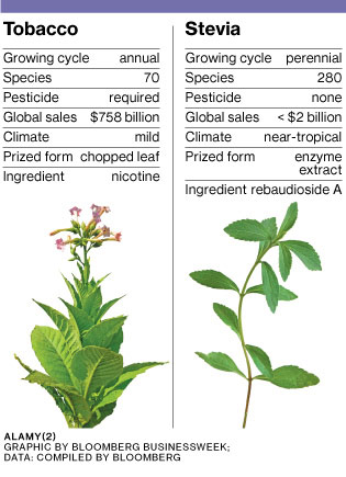 comp_stevia41_315inline