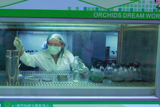 MK-CH107_ORCHID_G_20131016183511