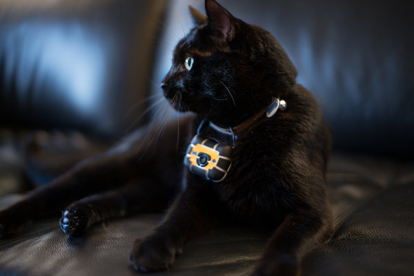 11adnews1-articleLarge