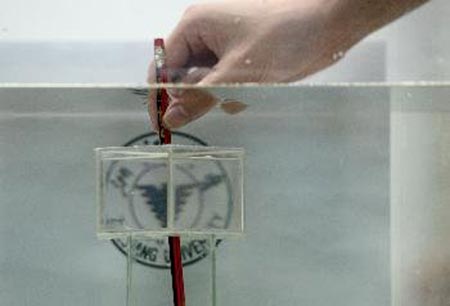 20131102invisiblehexagon-151925_copy1