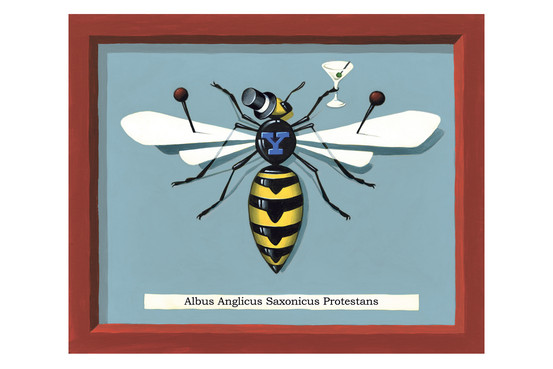 RV-AM365C_WASP__G_20131220203116