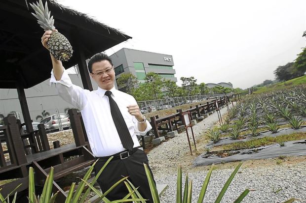 bizw_jy_P13a_0401_9cmX30p