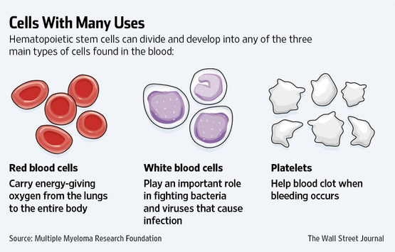 PJ-BS473_CORD_G_20140106183304